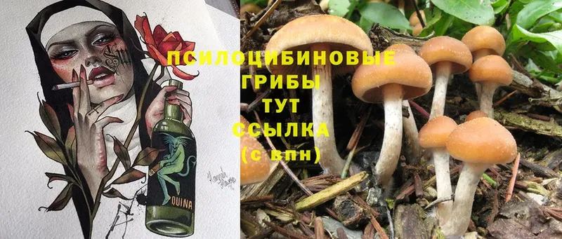 Псилоцибиновые грибы MAGIC MUSHROOMS  Сосенский 